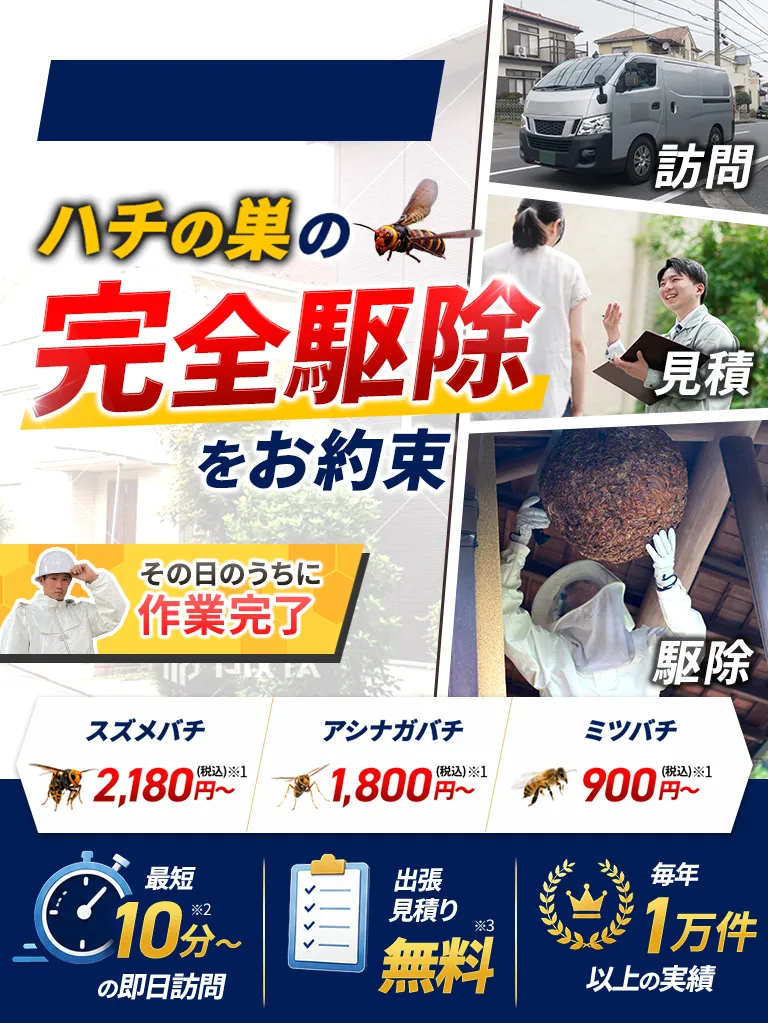 ハチの巣の完全駆除をお約束