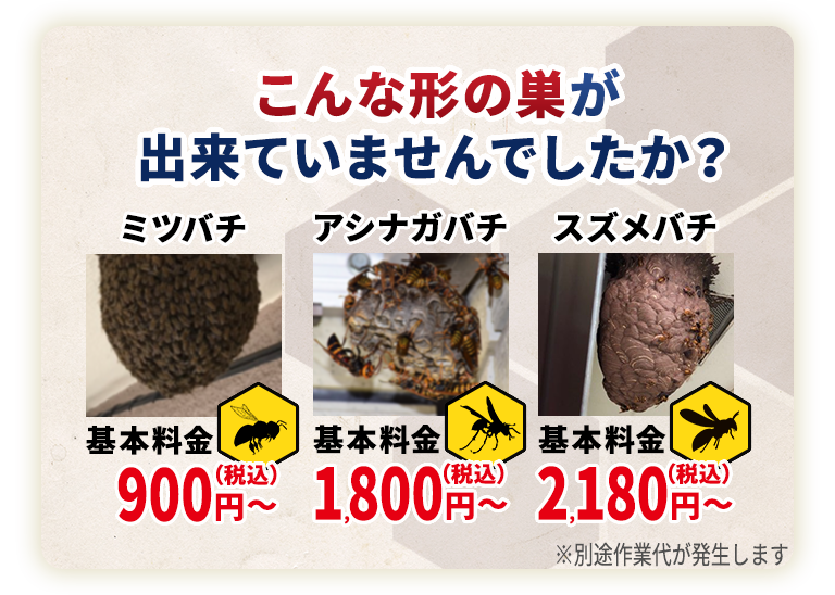 こんな形の巣が出来ていませんでしたか？